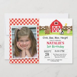 Farm Birthday Invitation Barnyard Party