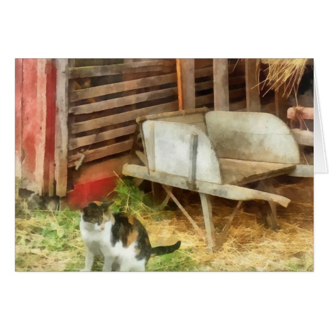 Farm Cat (Front Horizontal)