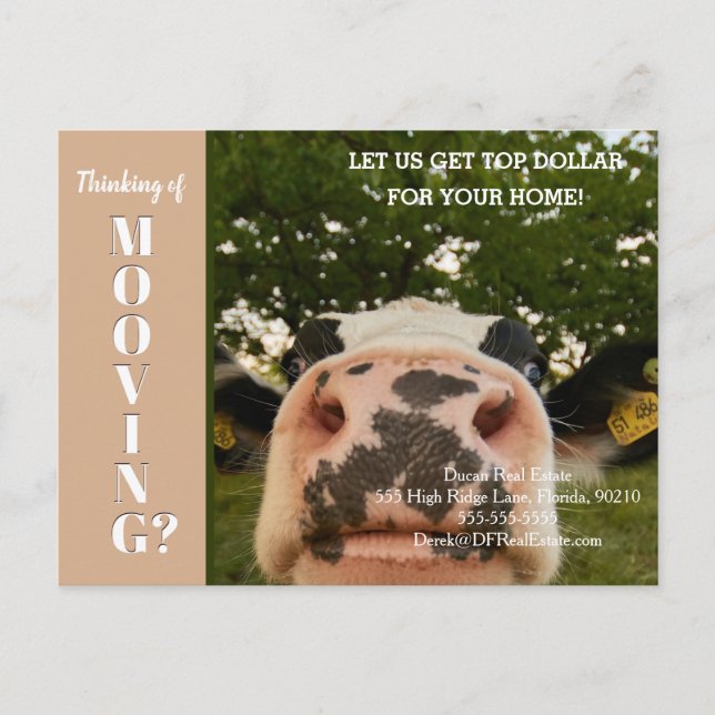 farm cow referral real estate marketing sell postcard (Front)