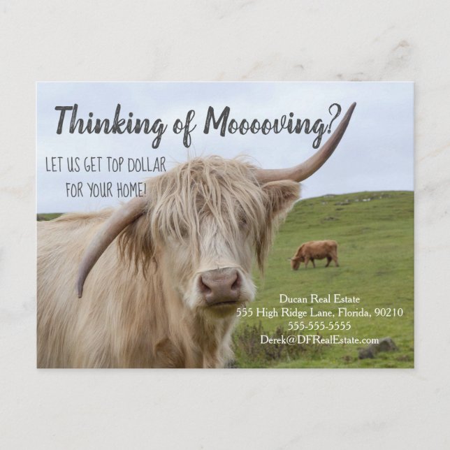 farm cow referral real estate marketing sell postcard (Front)