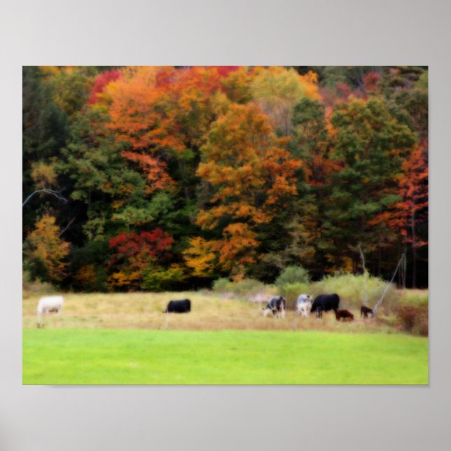 Farm Fall Foliage Cows In Field Orton Art Poster (Front)