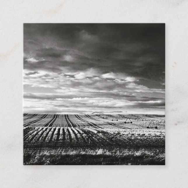 farm fields square business card (Front)