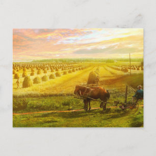 Farm - Finland - Field of hope 1899 Postcard