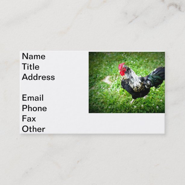 Poultry Farm Business Cards & Profile Cards Zazzle CA