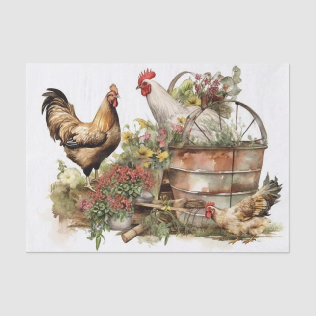 Farm Fresh Chicken  Tissue Paper (Front)
