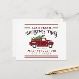 Farm fresh Christmas trees Holiday Postcard