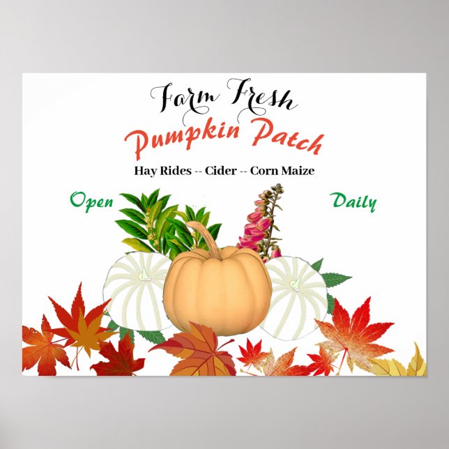 Farm Fresh Pumpkin Patch Fall Harvest Farmhouse Poster (Front)