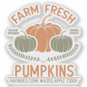 Farm Fresh Pumpkins Hand Picked