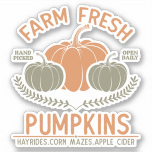 Farm Fresh Pumpkins   Hand Picked