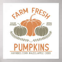 Farm Fresh Pumpkins | Hand Picked