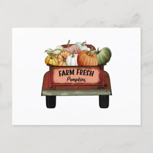 Farm Fresh Pumpkins Postcard