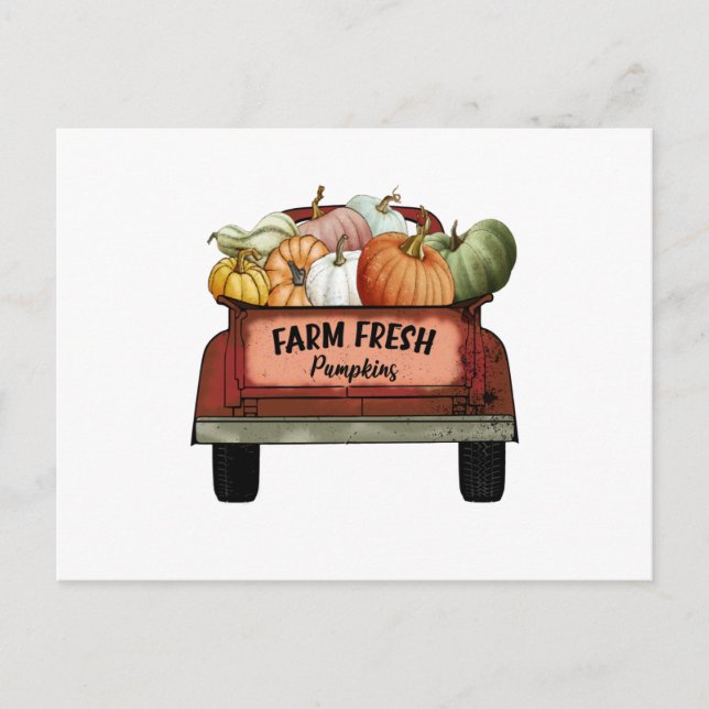 Farm Fresh Pumpkins Postcard (Front)