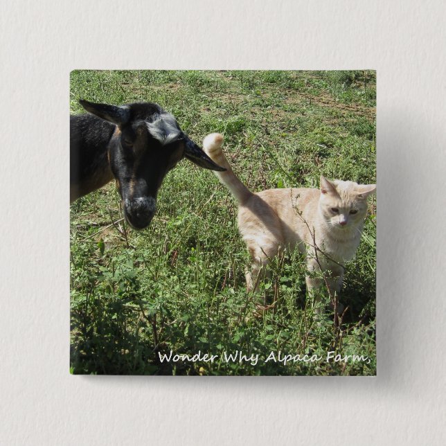 Farm Friends 2 Inch Square Button (Front)