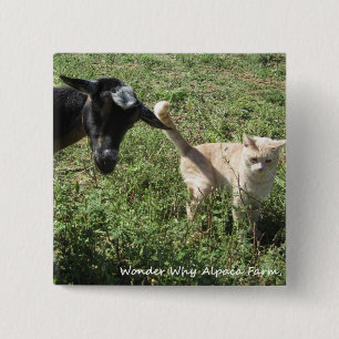 Farm Friends 2 Inch Square Button