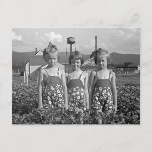 Farm Girls, 1939 Postcard