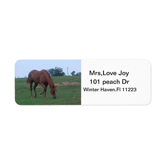 Farm Horse Address Lables (Front)