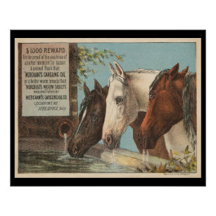 Farm Horses Drinking Water Advertisement Ephemera Poster