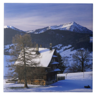 Farm house and Mount Rigi and Pilatus, Tile