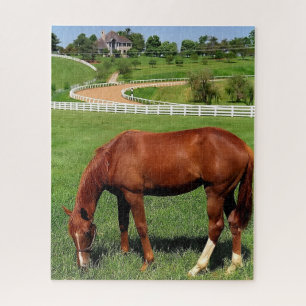Farm in Kentucky Jigsaw Puzzle