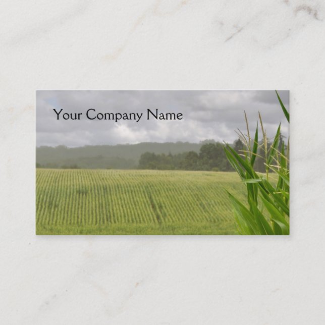 Farm landscape with maize fields business card (Front)