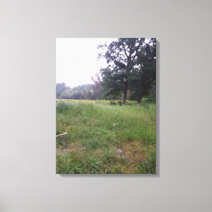 Farm life in Illinois Canvas Print