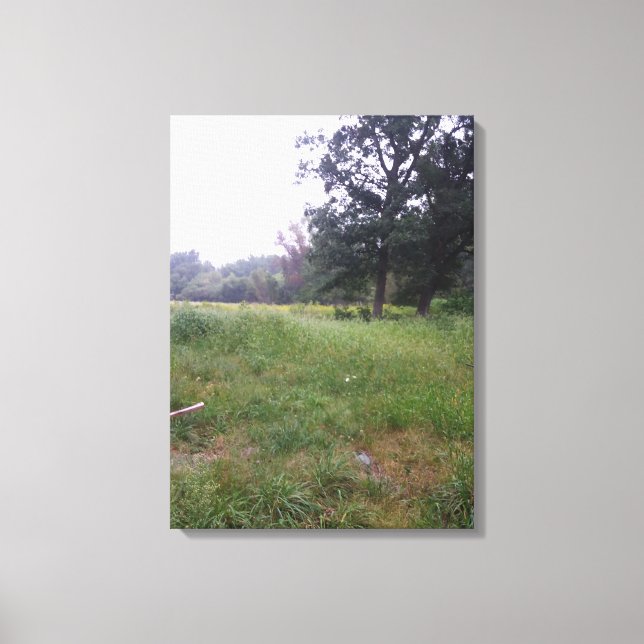 Farm life in Illinois  Canvas Print (Front)