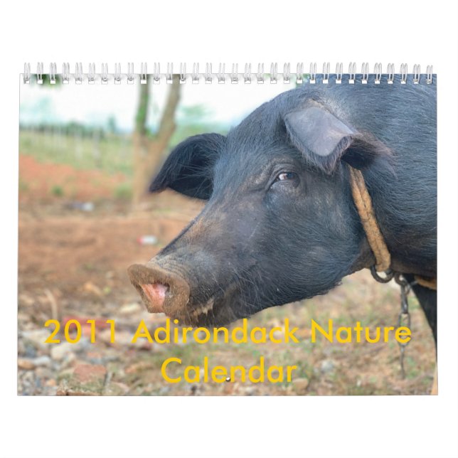 Farm Pig Design Calendar (Cover)