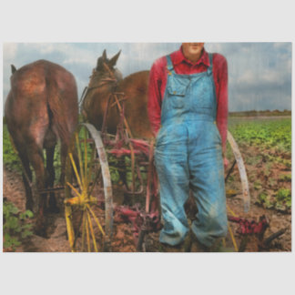 Farm - Plowing cotton 1937 Tissue Paper