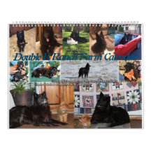 Farm-Ranch Animals: Horses, Goats, Pets, Poultry