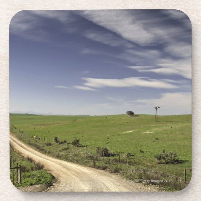Farm road twining between wheat fields, Caledon, Coaster (Front)