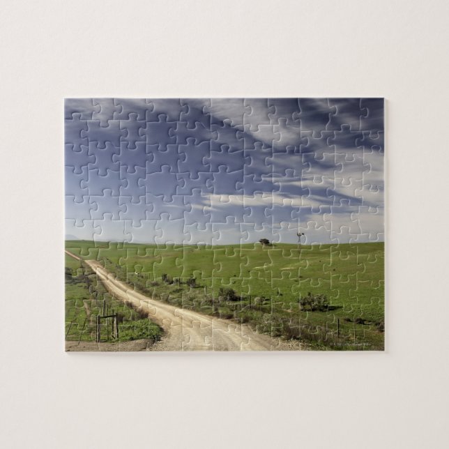 Farm road twining between wheat fields, Caledon, Jigsaw Puzzle (Horizontal)