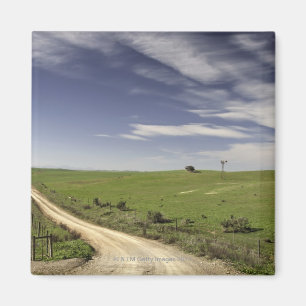 Farm road twining between wheat fields, Caledon, Magnet