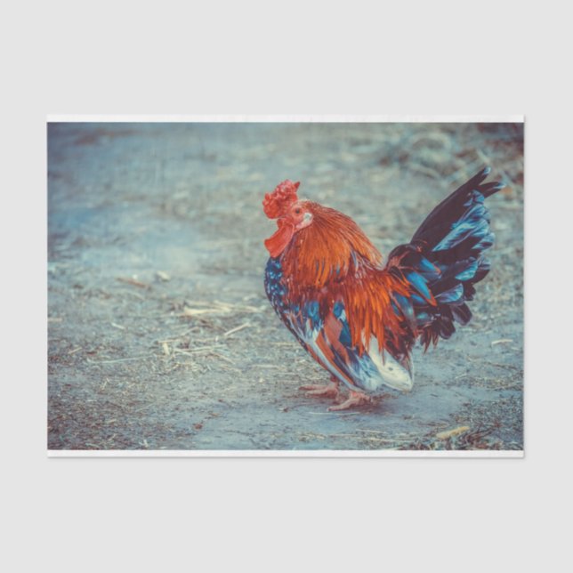 Farm Rooster Colourful Decoupage Tissue Paper (Front)