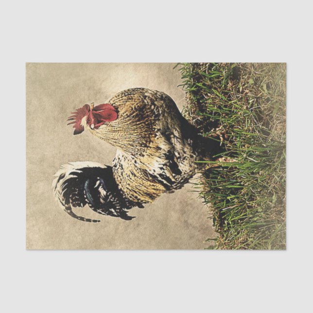 Farm Rooster Decoupage Tissue Paper (Front)
