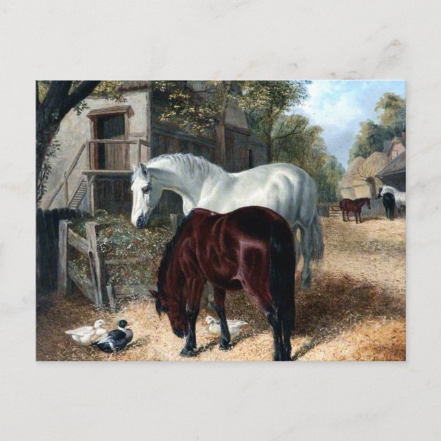 Farm Scene with Horses Postcard (Front)