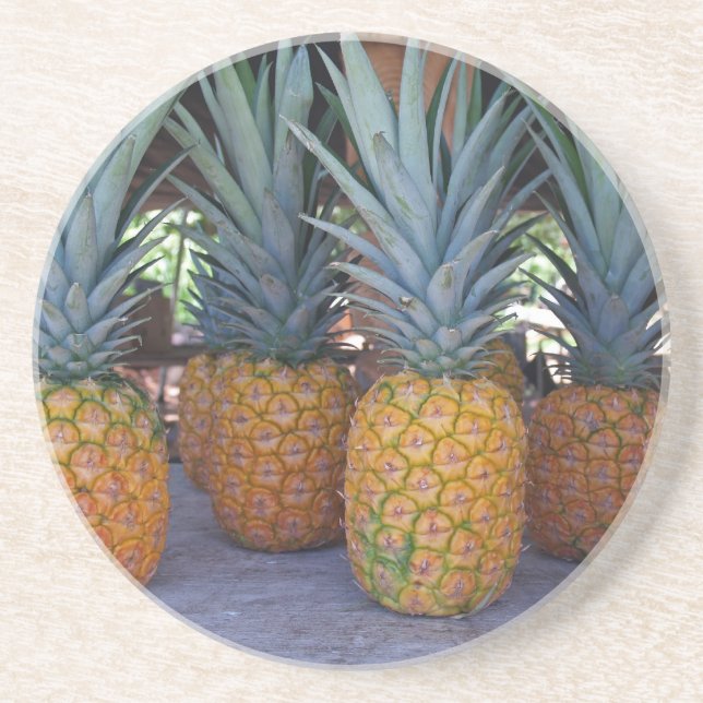 Farm Series--Pineapple Coaster (Front)