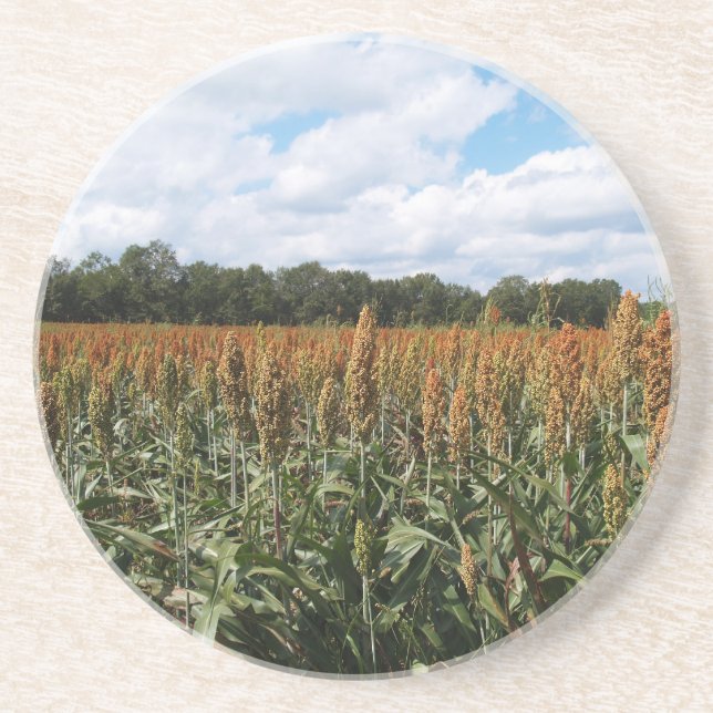Farm Series--Sorghum Field--Coaster Coaster (Front)