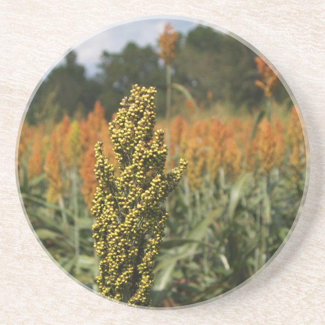 Farm Series--Sorghum Field--Coaster Coaster (Front)