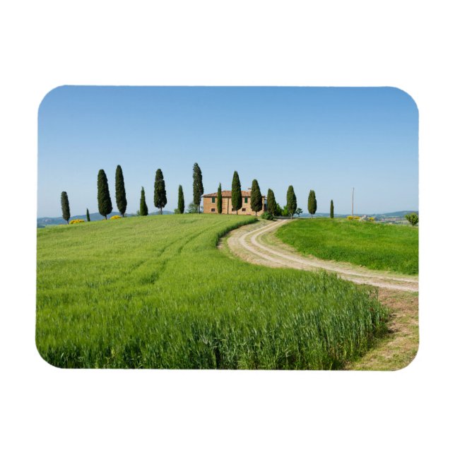 Farm villa with cypress trees in Tuscany Magnet (Horizontal)