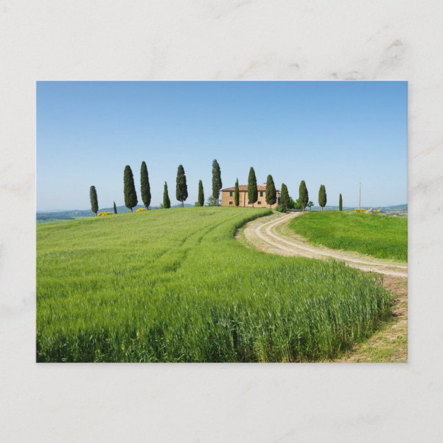 Farm villa with cypress trees in Tuscany Postcard (Front)