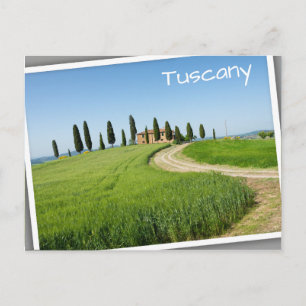 Farm villa with cypress trees in Tuscany Postcard