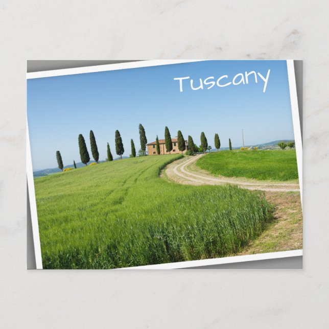 Farm villa with cypress trees in Tuscany Postcard (Front)