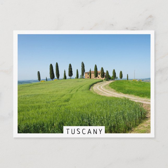 Farm villa with cypress trees in Tuscany Postcard (Front)