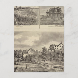 Farm, vineyard and residences in Cedar County Postcard