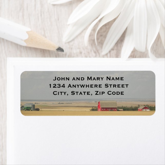 Farm Wheat Fields Return Address (Insitu)