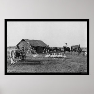 Farm with People and Animals in Argentina 1907 Poster