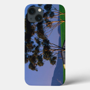 Farm Worker's Cottage And Wheat Fields, Overberg iPhone 13 Case