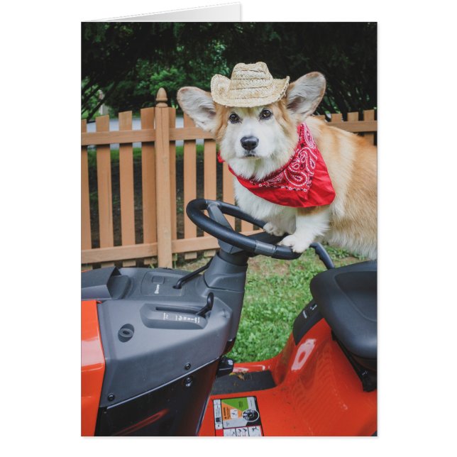 Farmer Corgi blank card (Front)