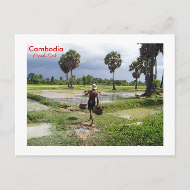 Farmer in his field at Preah Dak Postcard (Front)