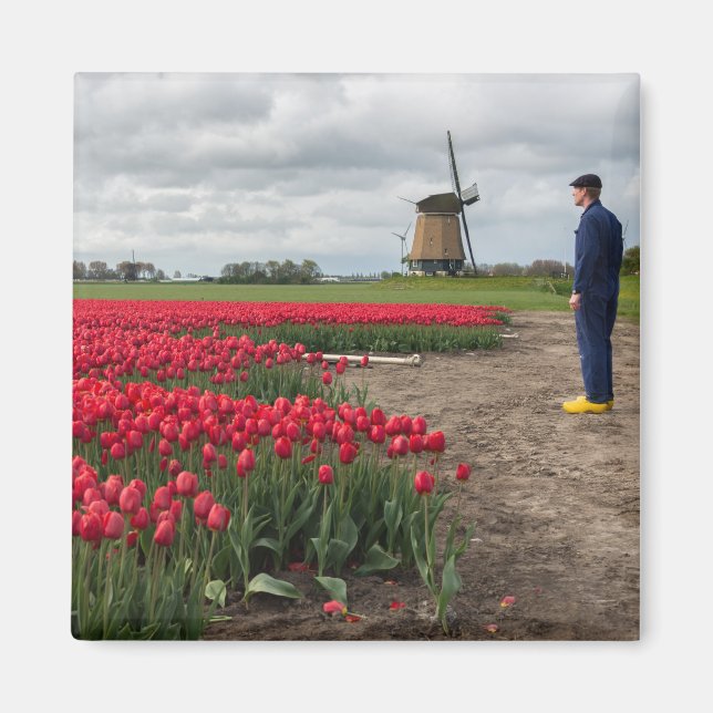 Farmer inspecting his tulips and windmill magnet (Front)